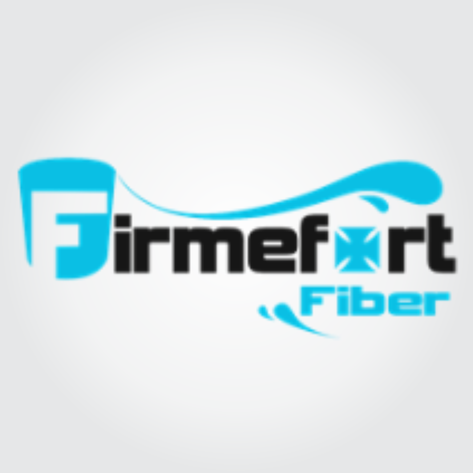 FIRME FORT FIBER SITE